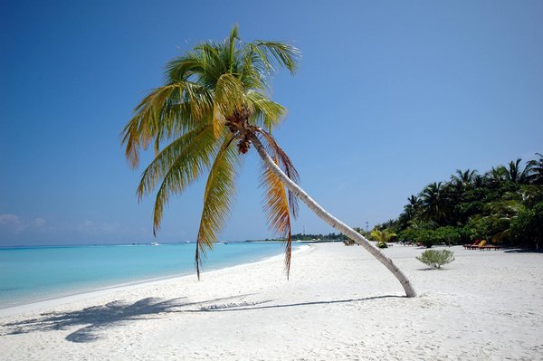 Réserver un vtc pour courchevel : le guide de l'explorateur averti