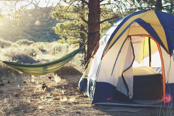 Quels sont les équipements nécessaires pour un camping en région de forêt de conifères en hiver?